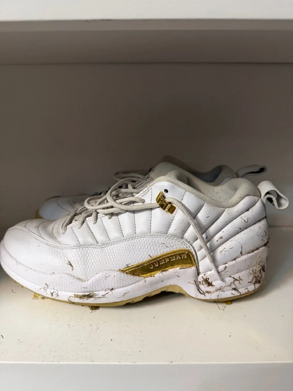 Nike Air Jordan XII G